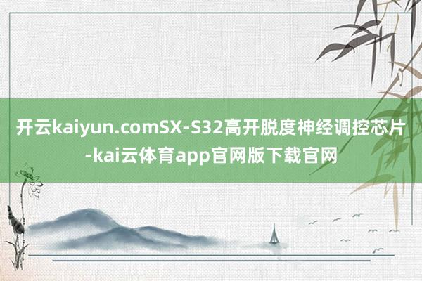 开云kaiyun.comSX-S32高开脱度神经调控芯片-kai云体育app官网版下载官网