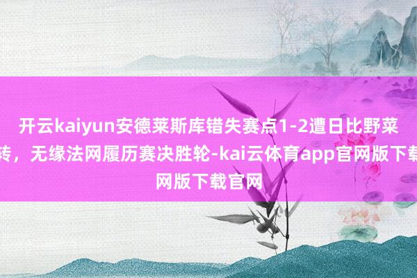 开云kaiyun安德莱斯库错失赛点1-2遭日比野菜绪逆转，无缘法网履历赛决胜轮-kai云体育app官网版下载官网