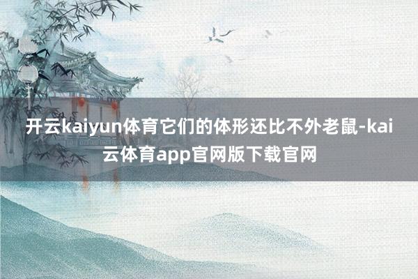 开云kaiyun体育它们的体形还比不外老鼠-kai云体育app官网版下载官网