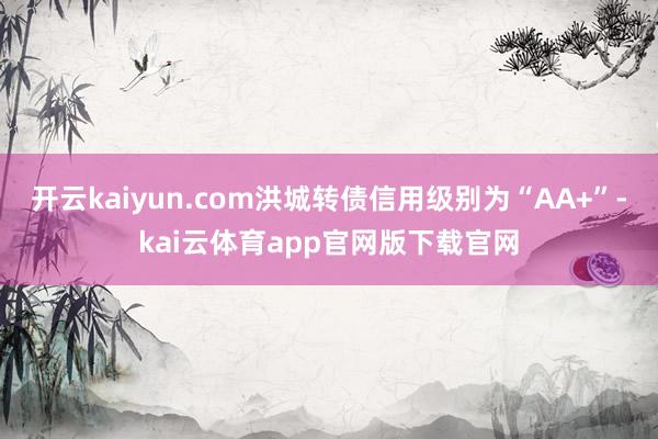 开云kaiyun.com洪城转债信用级别为“AA+”-kai云体育app官网版下载官网